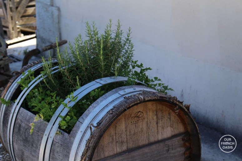 11668127_10204130494291951_1732705416_n