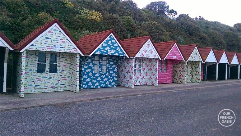 11271087_10203919059566215_960009220_n