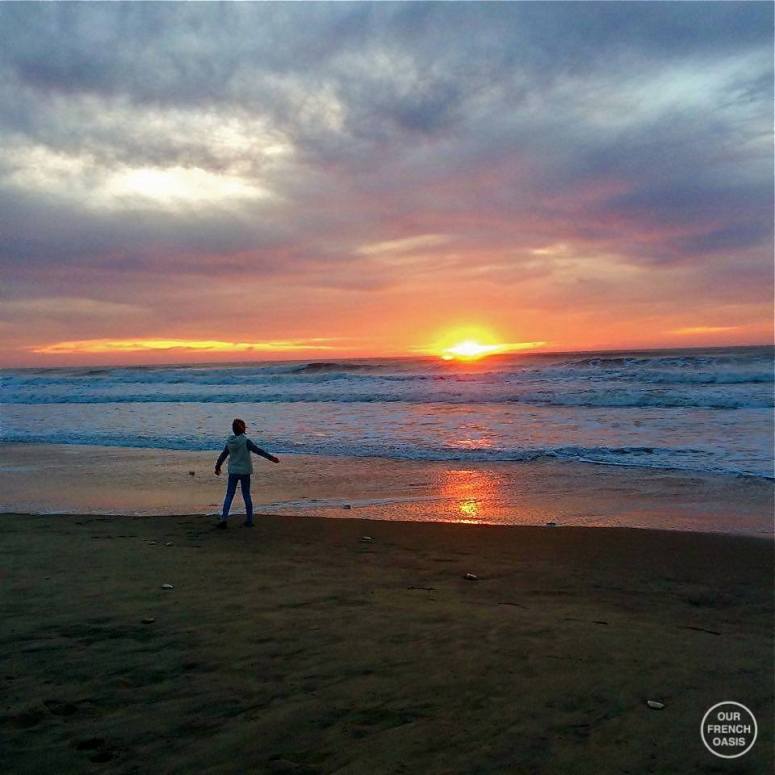 1513852_449988965196513_7077609715673999832_n