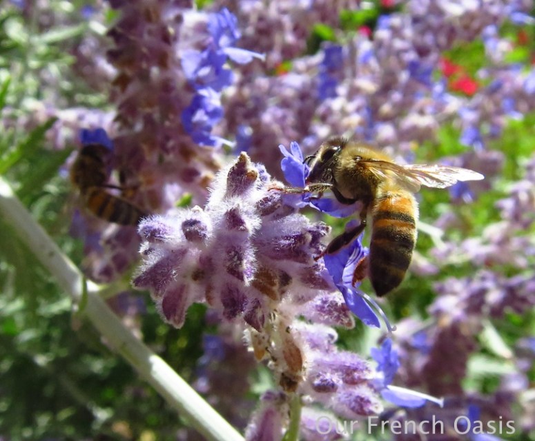 Screen Shot 2015-08-04 at 13.16.31