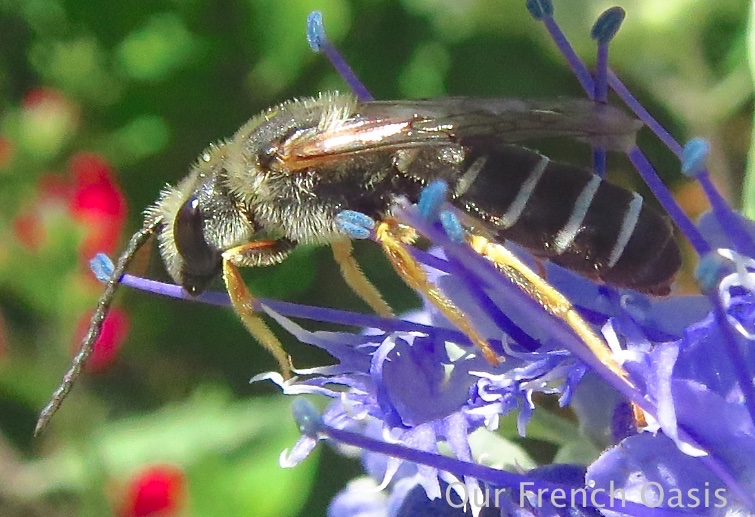 Screen Shot 2015-08-19 at 13.27.20