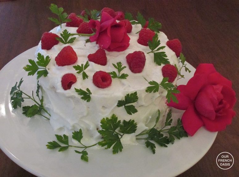 12241212_437372979791445_255649437929970184_n