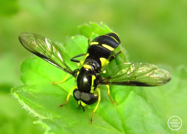 Screen Shot 2016-04-24 at 20.28.49