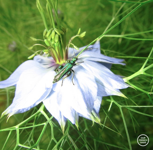 Screen Shot 2016-06-12 at 11.02.54