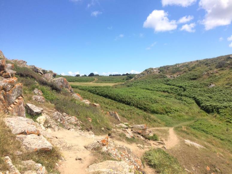 13645359_1024367887658355_3712681976135860192_n