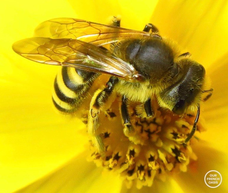 Screen Shot 2016-06-04 at 11.44.16