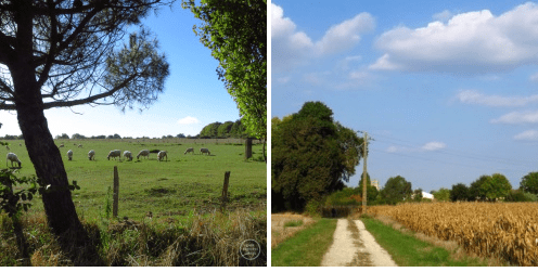 screen-shot-2016-10-13-at-13-15-04