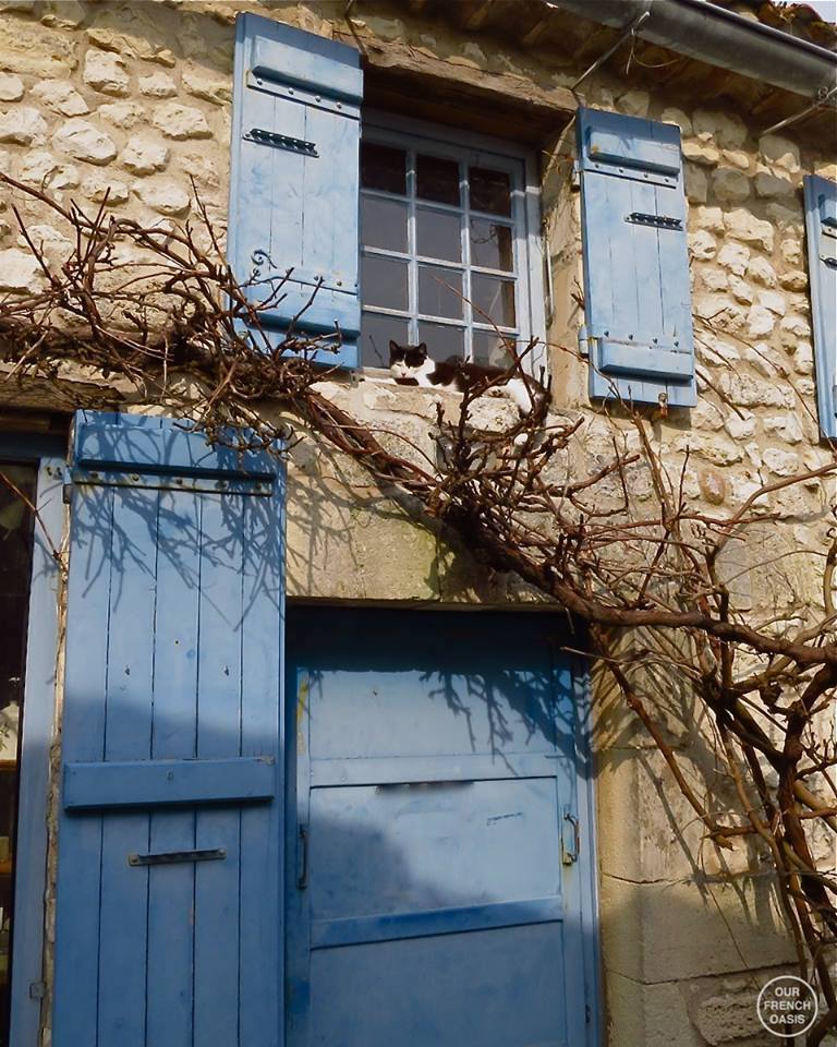 11141162_440390212823055_1343830422862198816_n