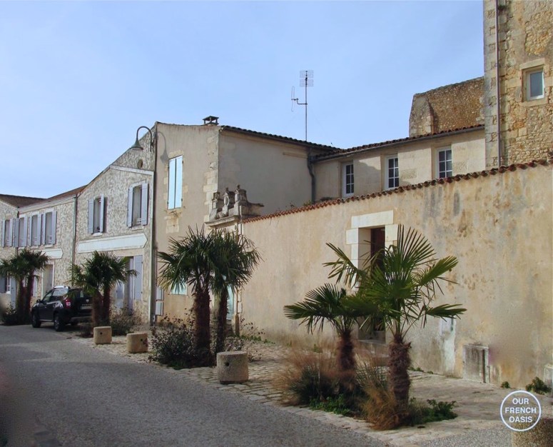 12368979_443612902500786_2468803659509240661_n