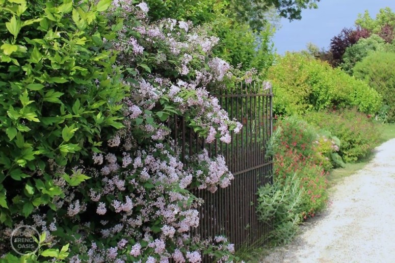 13312655_507808349414574_7081559736050062518_n