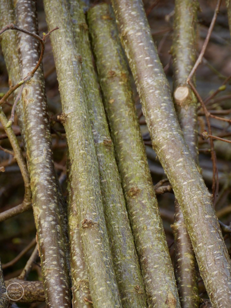 p4960301