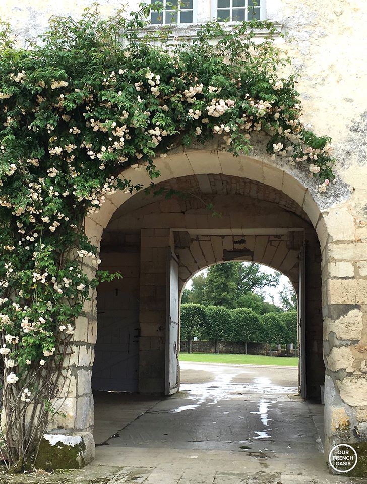 13415427_513289058866503_4485278751803952463_o-2