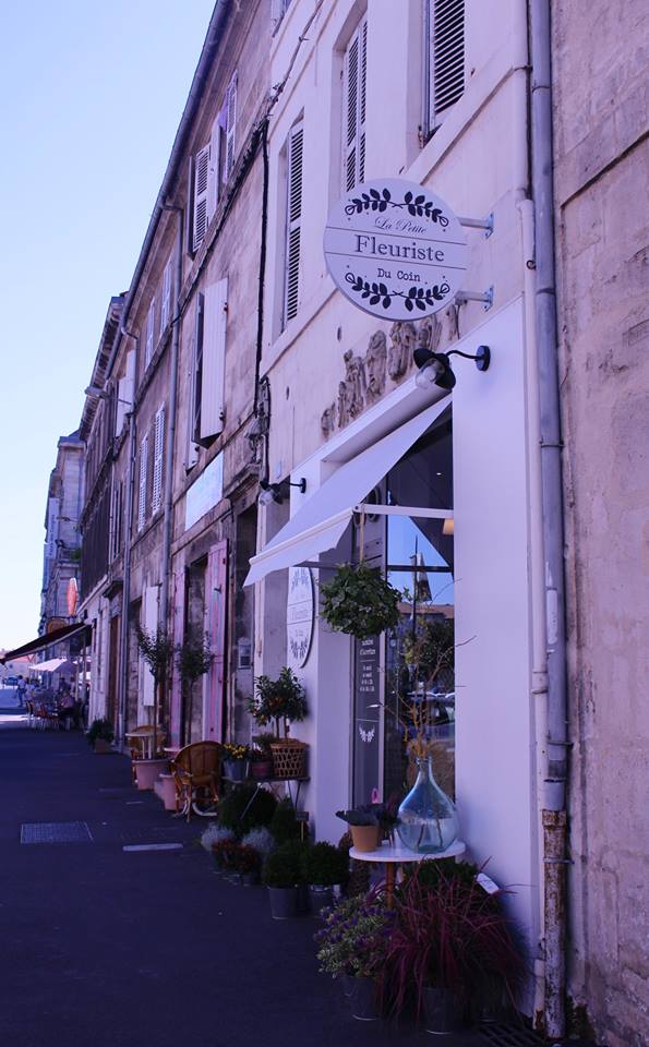 14022165_10206445724691264_912393553489515257_n