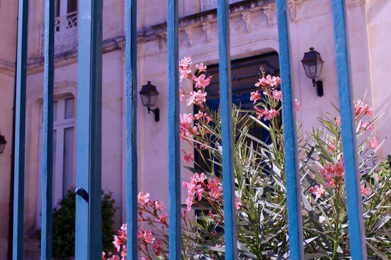 14034809_10206445739371631_6618936023933029950_n