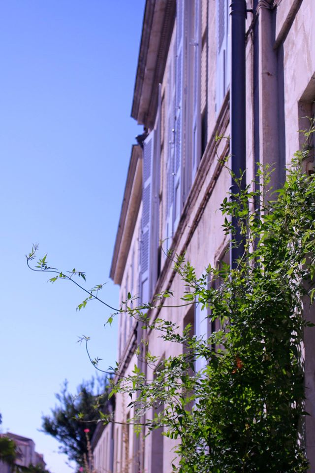 14125113_10206445741611687_5105915548740650413_o