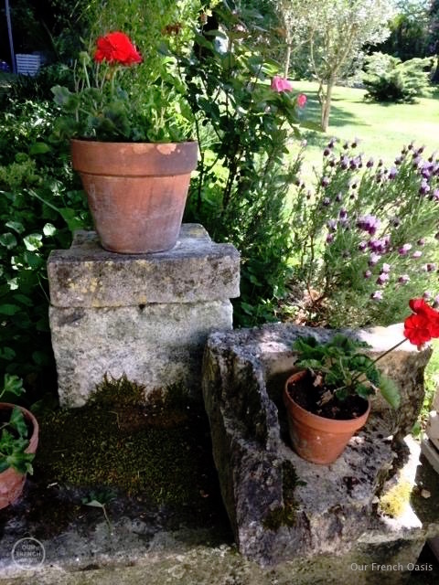 18118562_664330883762319_8971098667491782761_n