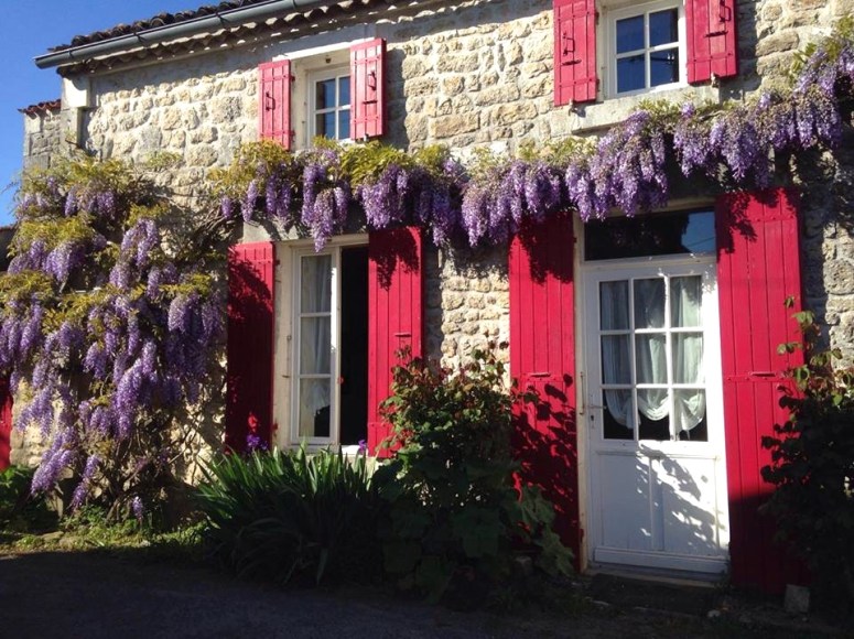 18386870_290191264755817_1063011366_n