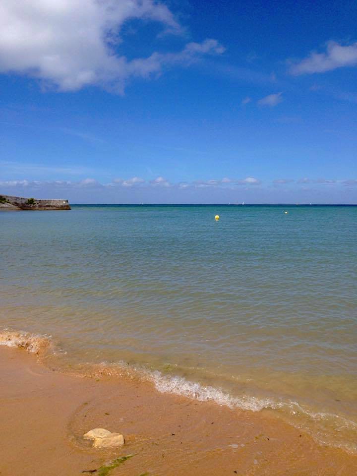 18424548_303550296747062_1152898839_n