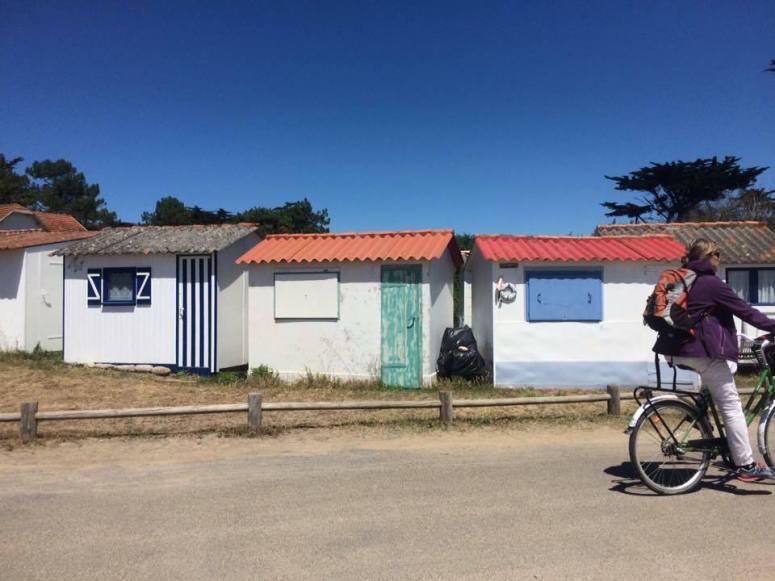 18449823_1310984765663331_170180282_n