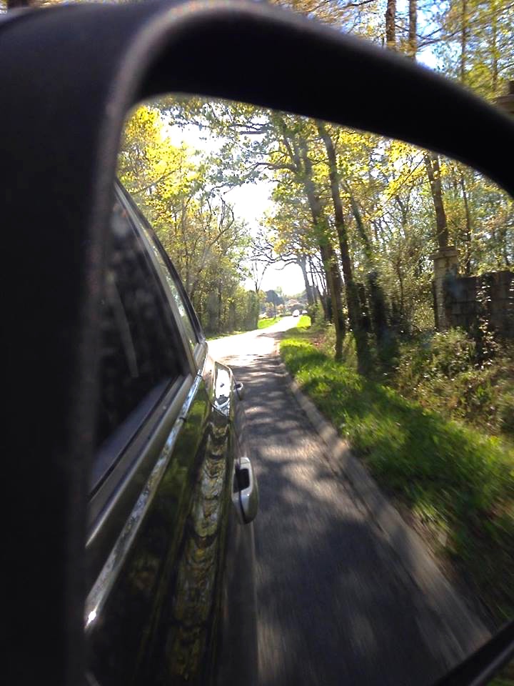 18470675_290191218089155_217194753_n