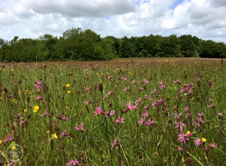 Screen Shot 2017-05-07 at 00.49.22