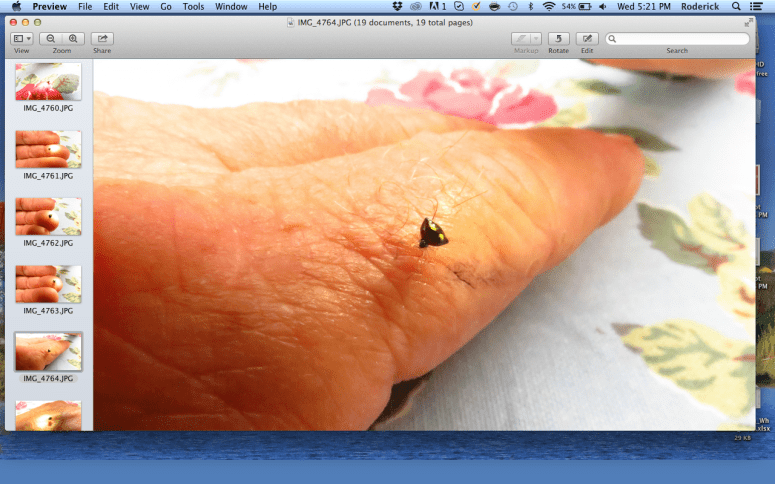 Screen Shot 2015-07-22 at 5.21.04 PM