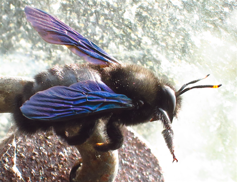 Screen Shot 2016-04-10 at 16.25.30