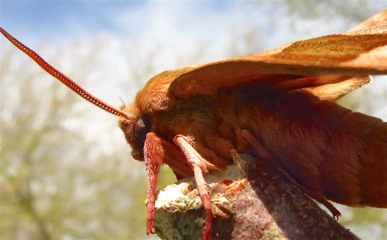 Screen Shot 2016-04-13 at 19.14.13