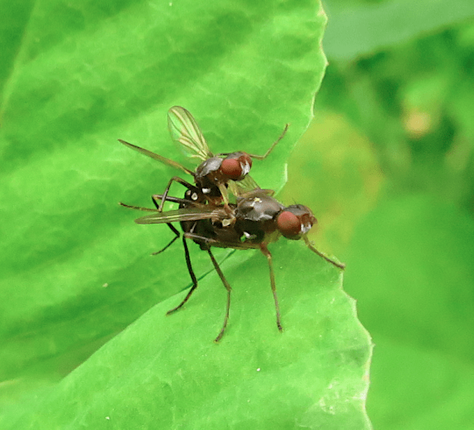 Screen Shot 2016-04-20 at 15.08.06