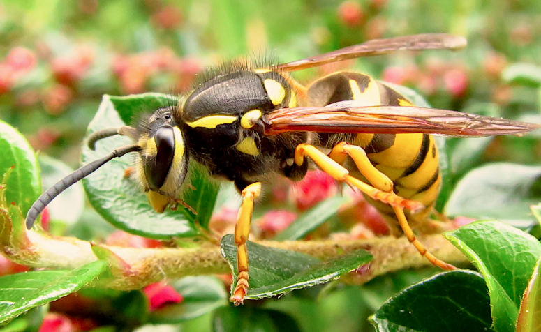 Screen Shot 2016-05-17 at 14.37.49