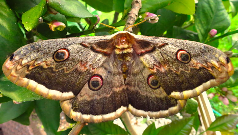 Screen Shot 2016-05-22 at 20.40.37