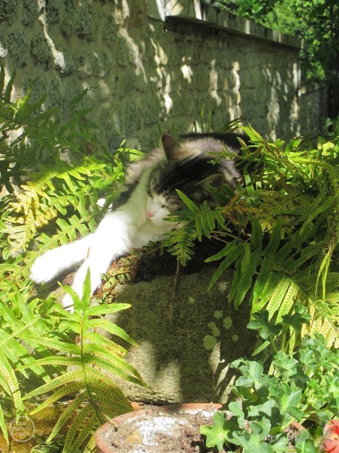 11168019_386940861501324_1835589579437879300_n