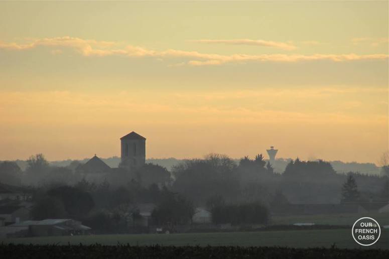 11202555_438802416315168_3122986598779026001_n