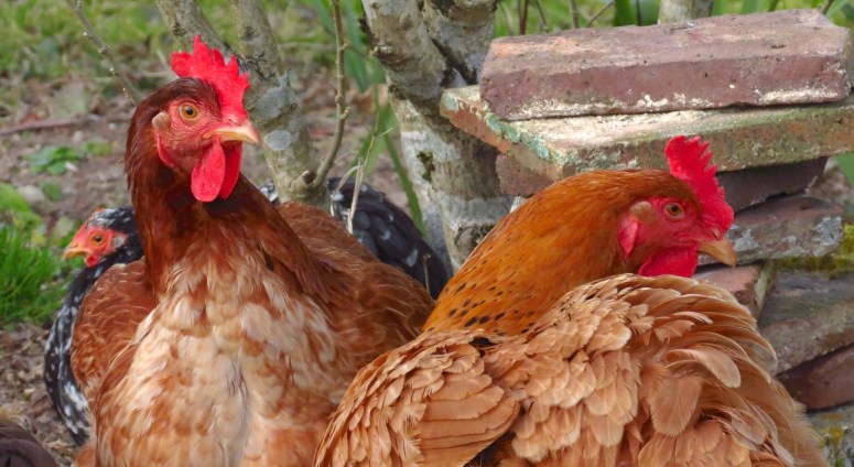 IMG_3644 - Version 2