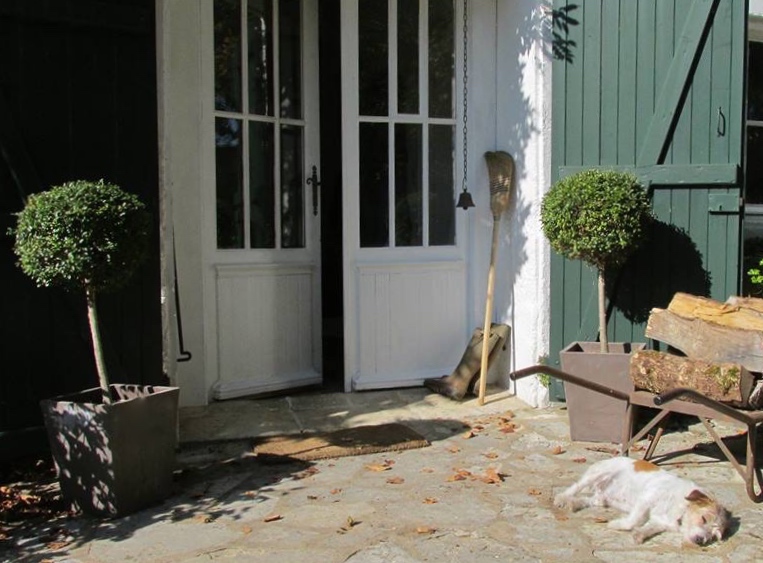 12105764_429797027215707_8222442456590337646_n