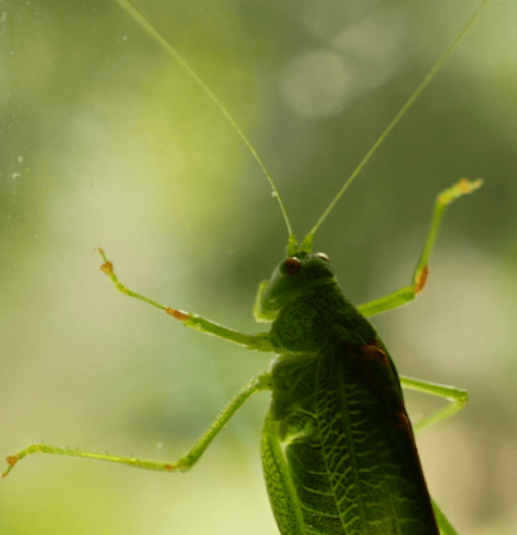 Screen Shot 2019-11-01 at 15.39.05 copy